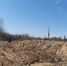 В Кировской области рекультивируют свалки - Свойкировский.рф