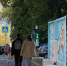 Синоптики рассказали, когда в Кировскую область придет бабье лето - ProGorod.Ru