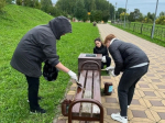 Киров готовится ко Дню города масштабными субботниками