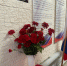 В Вятских Полянах открыли мемориальную доску героям-выпускникам - Свойкировский.рф
