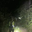 В Нагорском районе организуют повторный выезд на поиски пропавшей в лесу пенсионерки - ProGorod.Ru