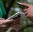 Как действовать, если телефон и SIM-карта оказались в чужих руках - Kirov.Online