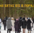 В Порошино заявили, что парк может прекратить существование: «То, что создавалось десятилетиями, могут уничтожить» - Newsler.Ru