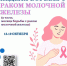 Неделя борьбы с раком молочной железы - Управление ветеринарии