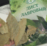 Главная картинка новости: Кладу лавровый лист под подушку каждый вечер — старинный секрет, который до сих пор работает - Город Киров