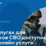 На Госуслугах для участников СВО доступны новые онлайн услуги - Министерство информационных технологий и связи