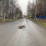 Кировская полиция ищет виновника ДТП на Тимирязева - VyatkaKirov.Ru