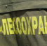 146 автомобилей лесоохраны Кировской области оснащены ГЛОНАСС - Кировская правда
