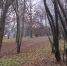 Потепление и ледяной дождь - Kirov.Online
