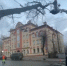 В Кирове из-за сильного ветра упало несколько деревьев - Newsler.Ru