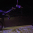 В Верхошижемском районе Toyota сбила животное: пострадал водитель - Комсомольская Правда