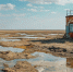 Главная картинка новости: Аральское море возрождается: что изменилось и почему о нём начали снова говорить - Город Киров