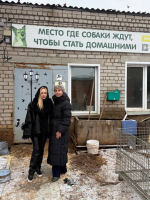 Екатерина Колотова взяла под опеку бездомного пса Рекса