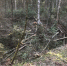 6MG6fWVIizZAQu7GS16bxstJqq7PygfOcnXGgoMfjLHzR0zU1WgtQE7OR601o8NRai2D9vCGEXeVgsrjS5l1RPdw.jpg - Bnkirov.Ru
