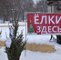 Главная картинка новости: В Кирове с 20 декабря открываются традиционные елочные базары - Город Киров
