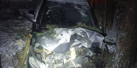 В Лебяжском районе в жестком ДТП с наездом на дерево пострадали четыре человека - Auto43.Ru