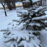 В субботу, 13 декабря, в Кировской области ожидается до -23 °C - ГТРК Вятка