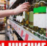 Для сведения организаций, осуществляющих розничную продажу алкогольной продукции! - Министерство промышленности, предпринимательства и торговли