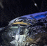 В Кировской области четыре человека погибли в автомобильных авариях - Newsler.Ru