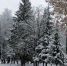 Небольшой снег и -12 °C прогнозируют в последний день 2025 года в Кирове - ГТРК Вятка