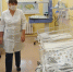 Первыми новорожденными в Кировской области стали мальчик и девочка - Комсомольская Правда