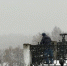 Снегопад и до -16 °C: какой будет погода в Кирове 9-10 января - ProGorod.Ru
