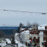 Бар в центре города откажется от алкоголя - Kirov.Online