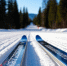 Лыжи, сноуборд, коньки: кировчан призывают к активному отдыху - VyatkaKirov.Ru