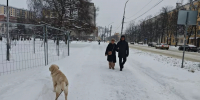 В Кировской области температура опустится до -35 градусов - ProGorod.Ru