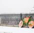 25 января будет -18℃ - Newsler.Ru