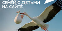 Поддержка семей с детьми. Национальный проект "Семья" - Министерство юстиции