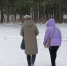Самозанятые жители Кировской области смогут получить оплачиваемые больничные - ProGorod.Ru