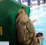 Кировские росгвардейцы стали призерами чемпионата ПФО по военно-спортивному многоборью - ГТРК Вятка