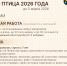 Примите участие в межрегиональном конкурсе«Чомга птица – 2026 года» - Заповедник Нургуш