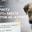 В Кирове стартовала благотворительная акция в поддержку приюта «Дари добро» - Newsler.Ru