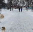 8 февраля в Кирове прогнозируется облачная погода и гололедица - ProGorod.Ru