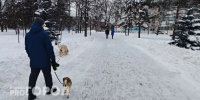 8 февраля в Кирове прогнозируется облачная погода и гололедица - ProGorod.Ru