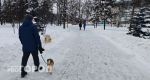 8 февраля в Кирове прогнозируется облачная погода и гололедица