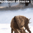 На федеральном туристическом сайте рассказали о Кировской области - Кировская правда