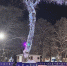 Главная картинка новости: Вместе с травой в Кирове появится новый каток - Город Киров