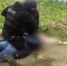 Встретились два бывших: полковник Воронов и подполковник Овсянников обживают один СИЗО в Кирове - Newsler.Ru