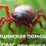 Медицинская помощь по полису ОМС при укусе клеща - Фонд ОМС
