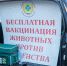 В Кировской области стартовала весенняя кампания вакцинации домашних питомцев - Кировская правда