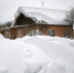 img - ЛДПР