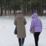 В Кировской области приняли закон о введении пониженных налоговых ставок - ProGorod.Ru