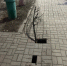 Тротуар на одной из центральных улиц города в любой момент может провалиться - Kirov.Online
