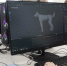 В Кирове разработали 3D-игру с питомцем - VyatkaKirov.Ru