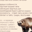 Невидимая сила - Заповедник Нургуш