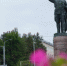 Соколов поддержал запрет катания на самокатах у памятников - Свойкировский.рф