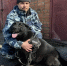 Служебная собака помогла полицейским раскрыть кражу в Кирово-Чепецке - VyatkaKirov.Ru